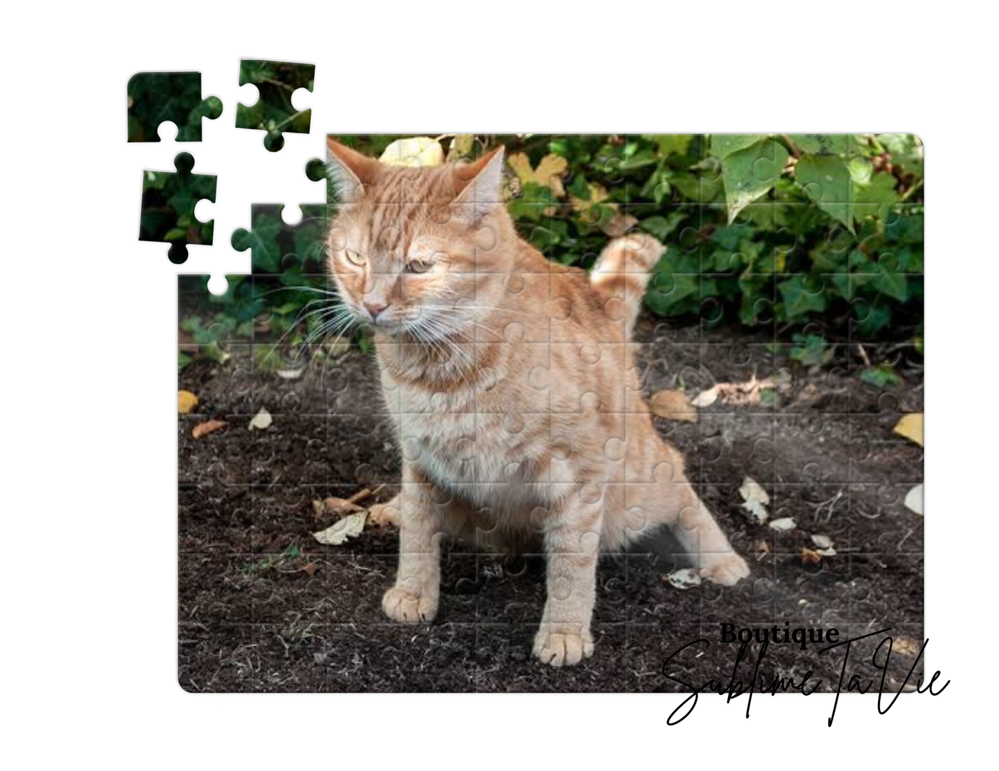 Casse-tête 80 pièces chat humoristique