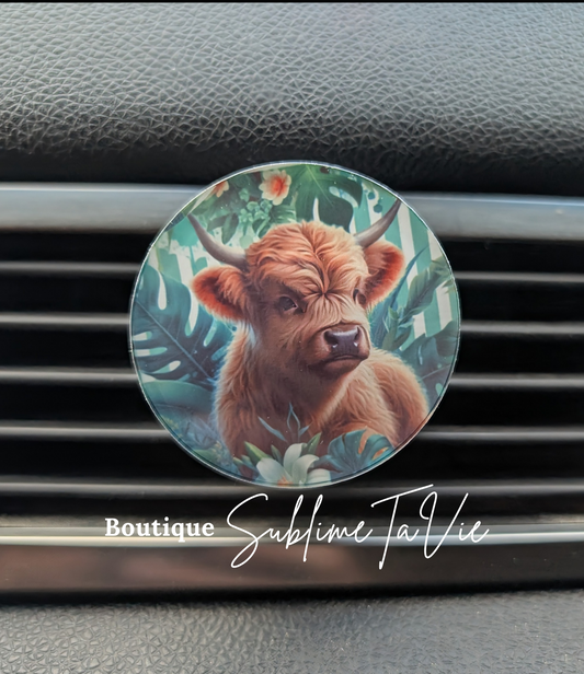 ZDésodorisants voiture Highlands