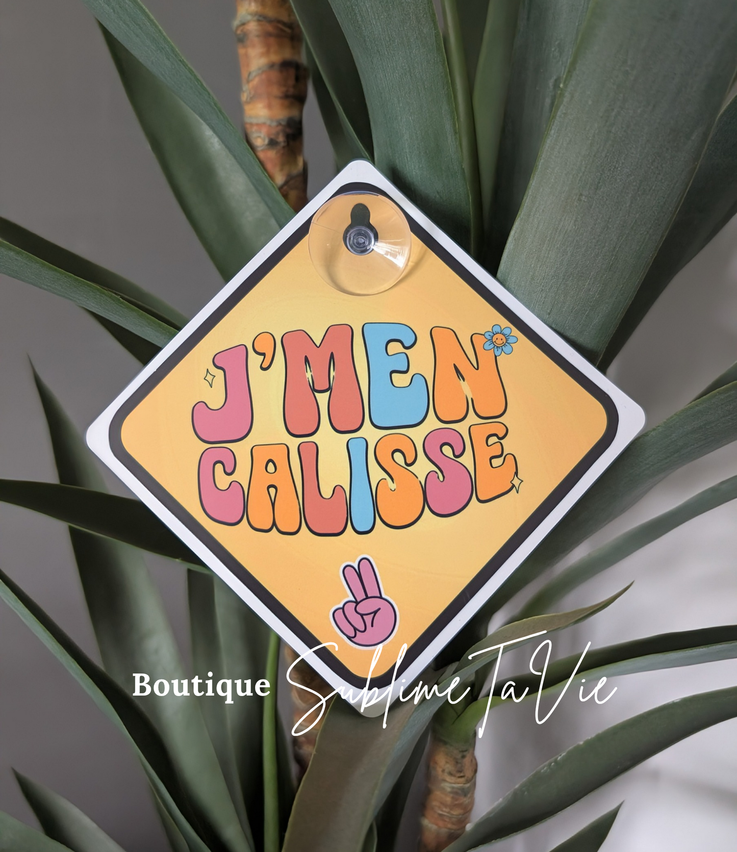 zPanneau j'me cal*†* humoristique